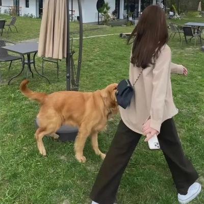 十三条命